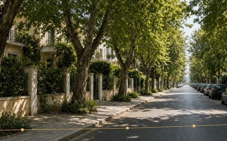  How Long Does Buying a Property in Greece Actually Take?